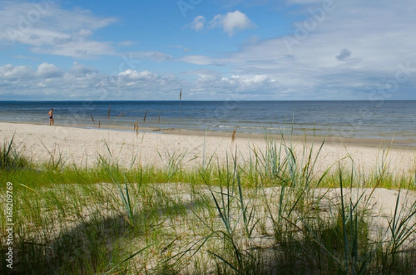 Obraz Grass and dune beach Baltic sea view, Latvia.
