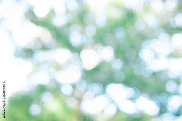 Obraz green bokeh abstract background