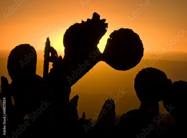 Fototapeta Sunset Soto Vista, Texas
