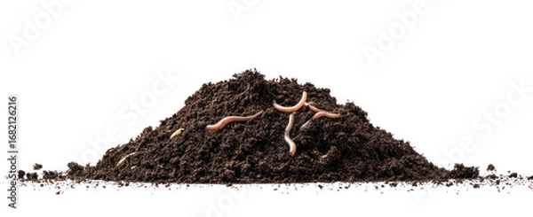 Obraz Pile of dark brown soil with several red-pink worms