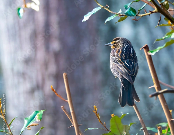 Obraz bird on a branch