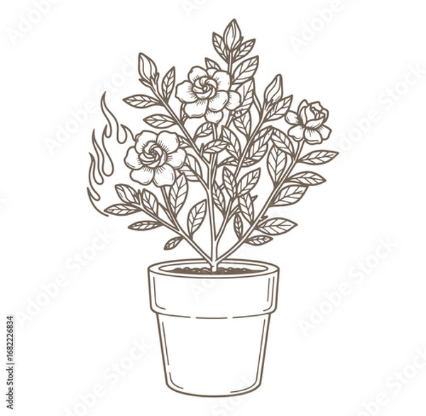 Fototapeta Simple illustration of a flowering plant in a pot with floral and botanical elements