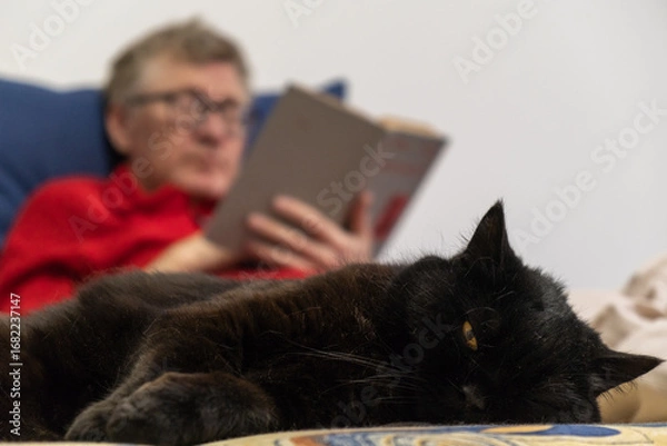 Fototapeta an older adult reads book while lounging on couch, with relaxed black cat lying in foreground, creating cozy atmosphere in home setting. close up.