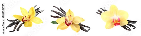 Obraz Three Yellow Orchids With Dark Vanilla Beans On Transparent Background