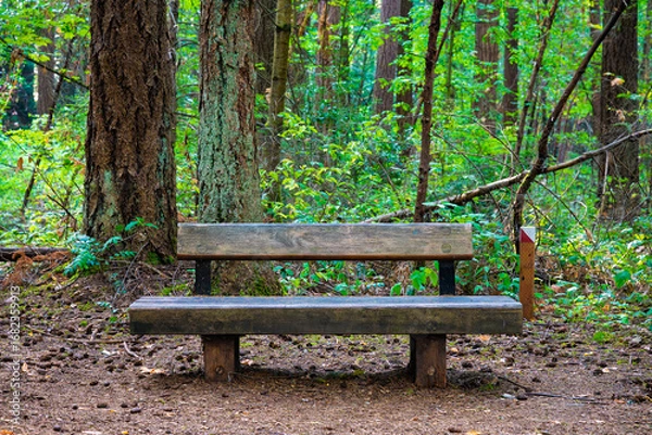Fototapeta 2025-08-26 A WOODEN BENCH IN A PARK SCENE WITH LUSH GREEN FOLIAGE IN THE BACKGROUND IN THE ROBINSWOOD PARK IN BELLEVUE WASHINGTON