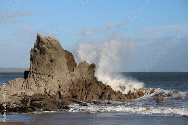 Fototapeta Wave splash