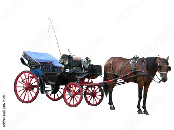 Fototapeta carrozza con cavallo