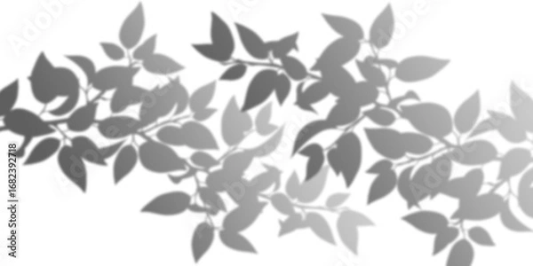 Obraz Monochrome Botanical Pattern   Decorative Element