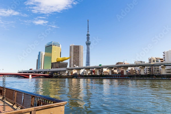 Fototapeta 東京の都市風景　東京スカイツリー