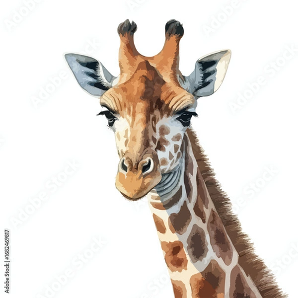 Fototapeta Elegant Giraffe Portrait with Detailed Spots and Gentle Expression