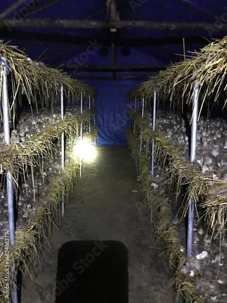 Obraz straw hut on the beach