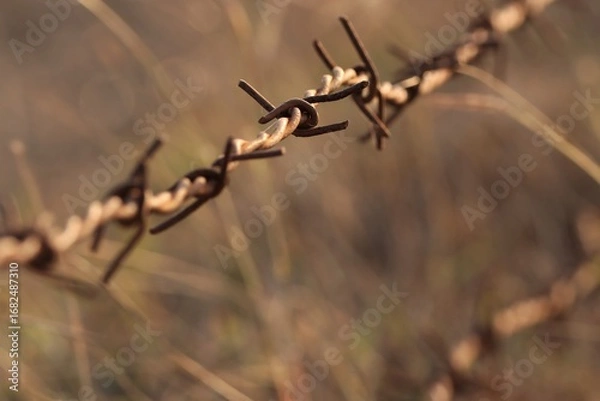 Fototapeta Barbed wire closeup. Selective focus. Copy space.