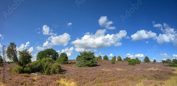 Fototapeta Lüneburger Heide