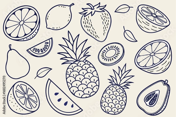 Fototapeta Outline Drawing of Various Fruits on Beige Background