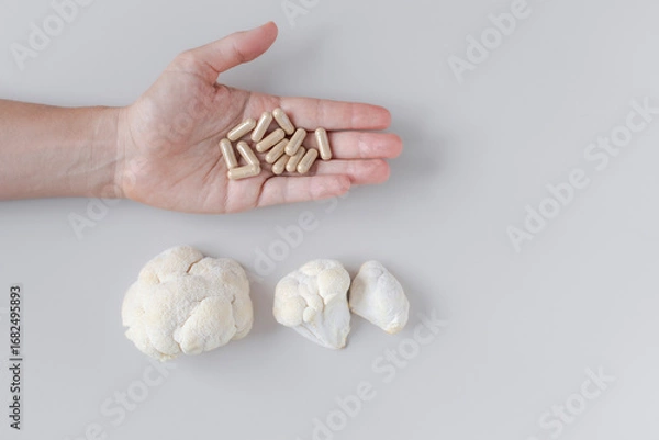 Fototapeta A hand holding capsules of lions mane mushroom supplement with fresh lions mane mushrooms on the side. Concept for natural medicine, cognitive enhancement with adaptogens and functional mushrooms.