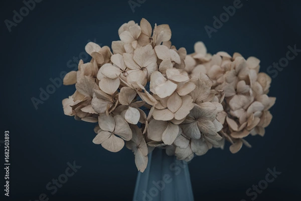 Fototapeta 紫陽花