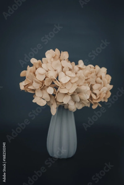 Fototapeta 紫陽花