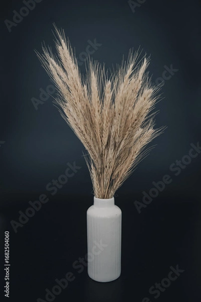 Fototapeta ライ麦