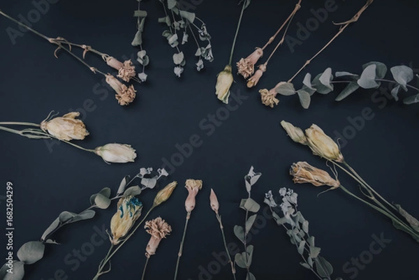 Fototapeta ドライフラワー