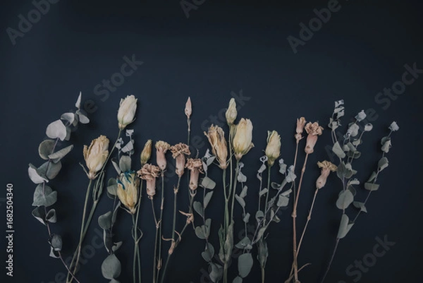 Fototapeta ドライフラワー