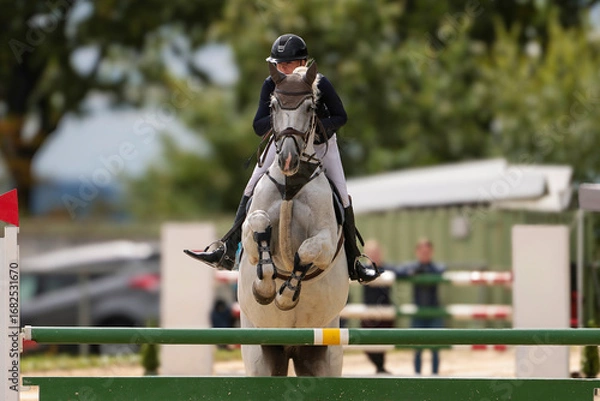 Fototapeta Close-up portraits of a show jumper jumping over an obstacle in a competition.