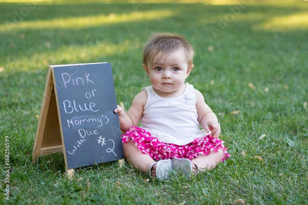 Obraz 7 month old girl sits in the grass with a pregnancy anouncement sign