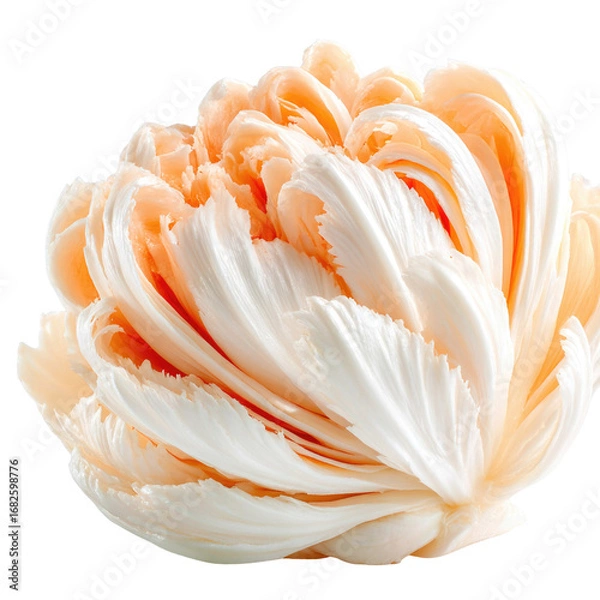 Obraz Delicate Layered Floral Arrangement in Soft White and Peach Tones on a Bright Background