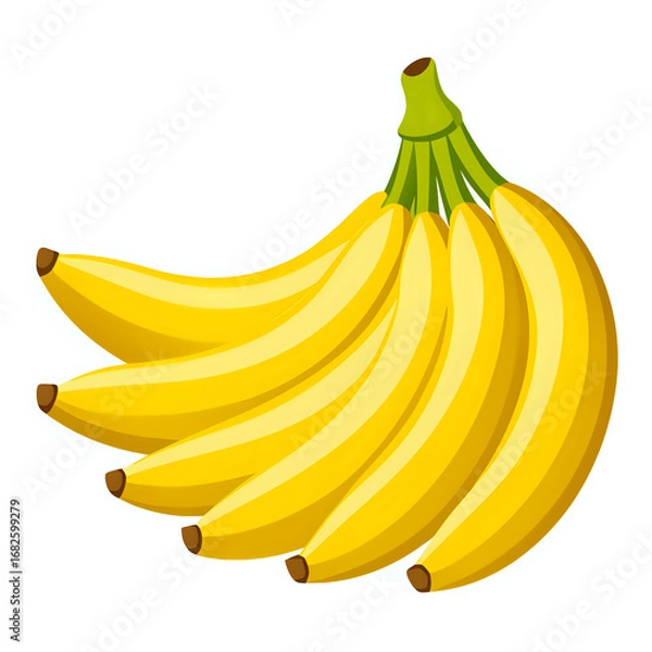Obraz bunch of bananas ,vector illustration white background