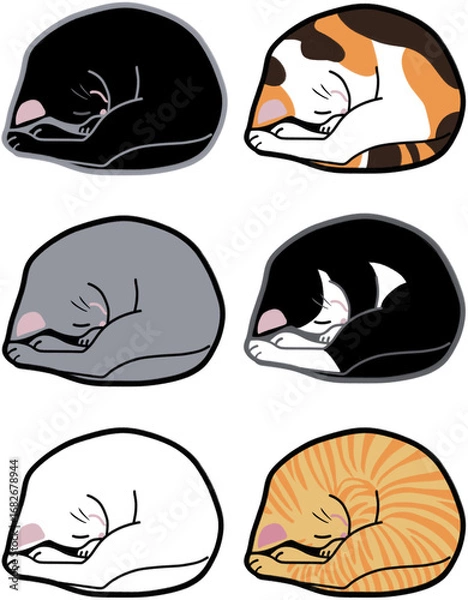 Obraz 丸まって寝ている猫のイラスト