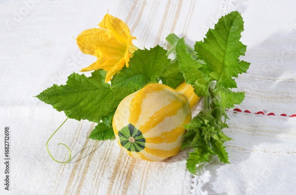 Fototapeta Decorative small pumpkin, green leaves with color, on a table for background.