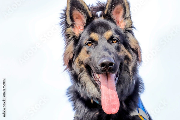 Fototapeta Altdeutscher API