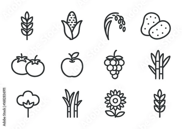 Fototapeta Agricultural Products Icons. Outline icon set of agricultural products: wheat, corn, rice, potatoes, tomatoes,
