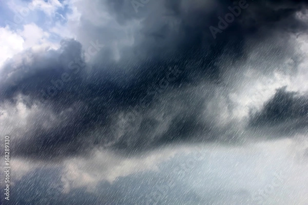 Obraz Rain
