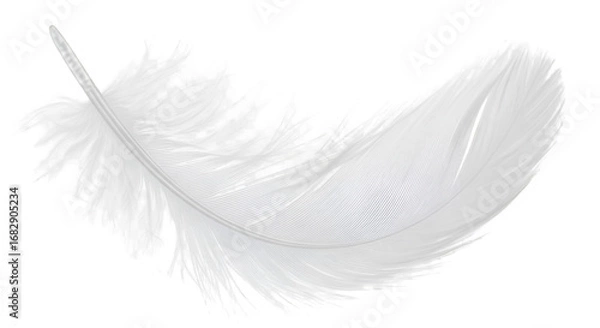 Obraz white feather with soft texture, isolated on transparent background.