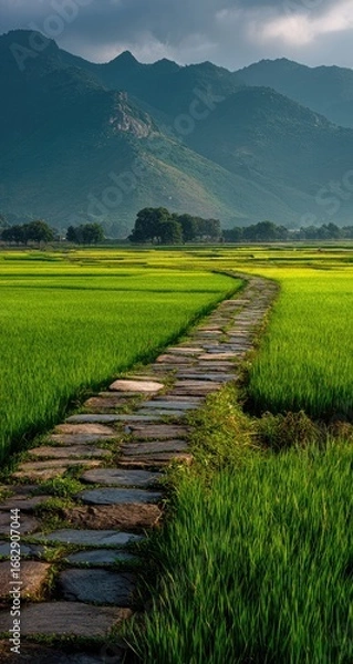 Fototapeta A stone path winds through vibrant green rice paddies, leading to a hazy mountain range