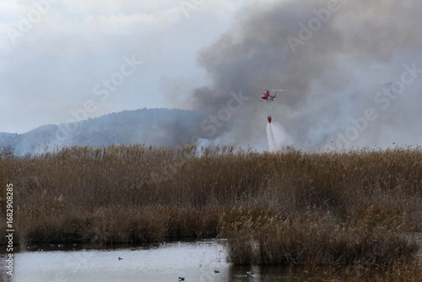 Fototapeta HELICOPTERO EN VUELO CON UNA CESTA DE AGUA APAGANDO UN INCENDIO