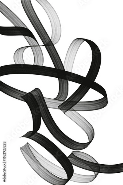 Fototapeta Minimal abstract composition with black calligraphic strokes on transparent background. Stylish modern background for design, branding and interior solutions.