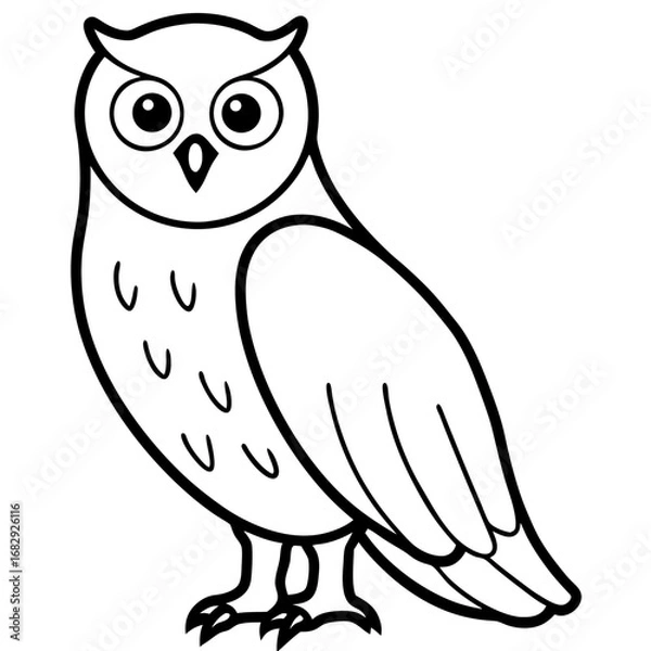 Obraz White Owl Outline Design