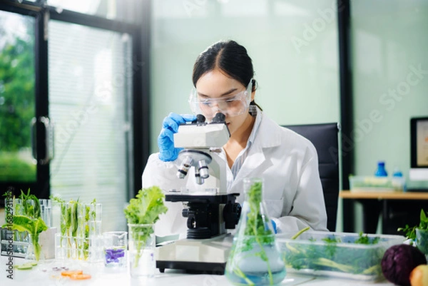 Fototapeta Scientist testing food samples in lab with microscope, vegetables, and meat for safety, nutrition, and biotechnology