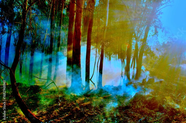 Obraz fire;departement