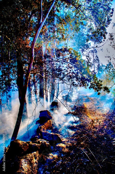 Obraz fire;departement