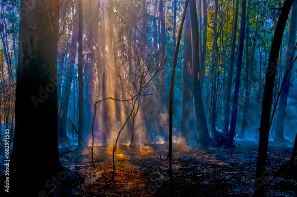 Obraz fire;departement