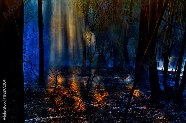 Obraz fire;departement