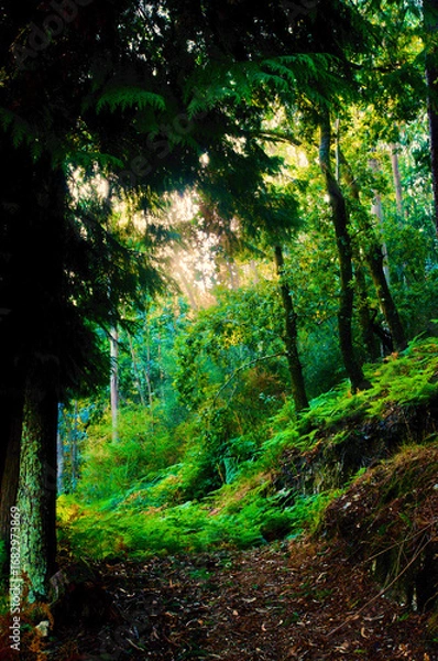 Obraz fire;departement