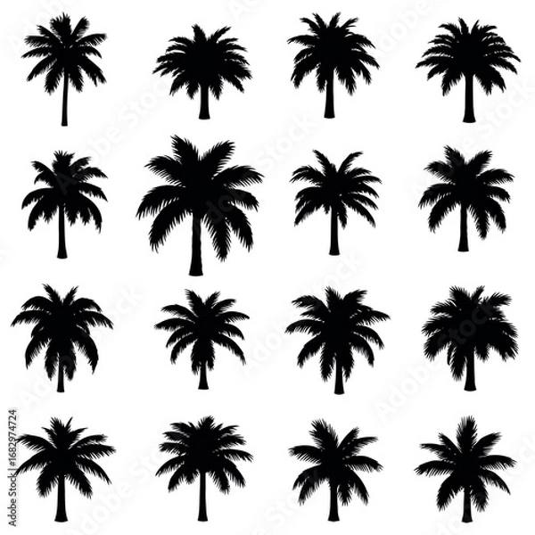 Fototapeta Vector illustration of collection of various palm tree silhouettes