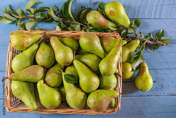 Obraz Conference Pears on a rustic table