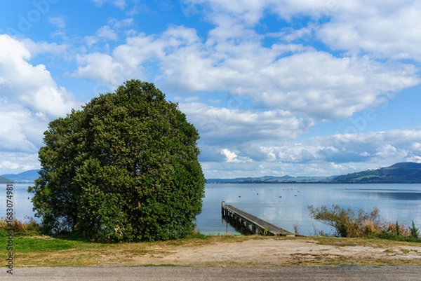 Fototapeta Large tree growing by jetty on serene lake surrounded by mountain under blue sky in New Zealand