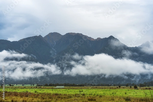 Fototapeta Scenic view of mountain and foggy over farmland with cattle in overcast day at New Zealand
