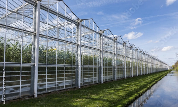Obraz Tomato Greenhouse Harmelen with Ditch