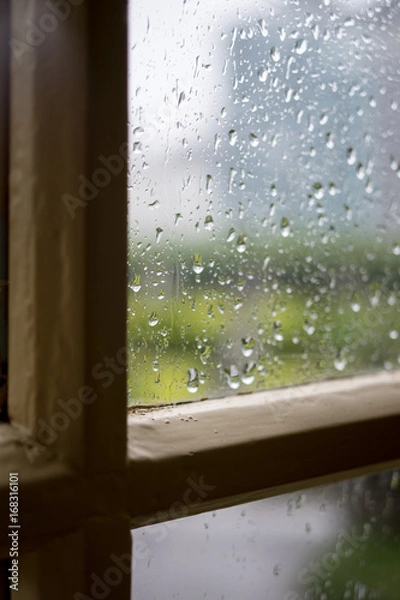 Obraz 窓の雨